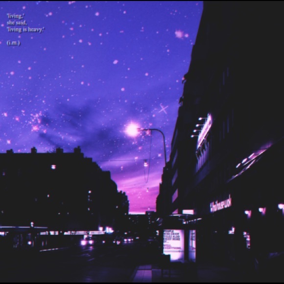 Meet your Posher, Luna - Picture 2 of 5